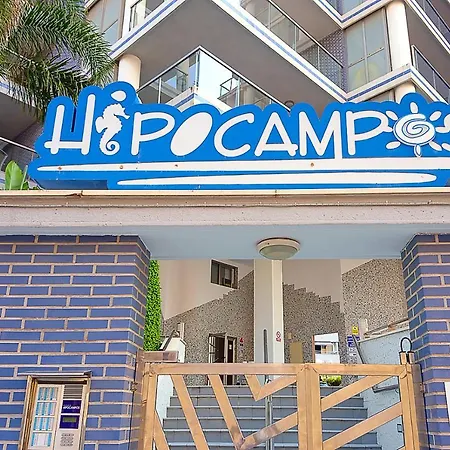 Hipocampos Elite شقة *